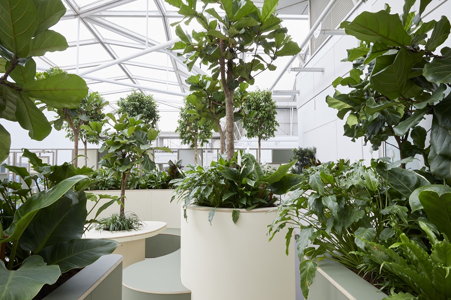 Indoor ‘Sky Garden’ opens at Chelsea and Westminster